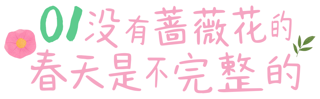 7fa782dab1797c2be02fcc55209d0364.png