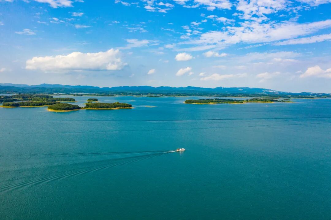 DJI_0345.jpg