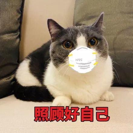 src=http___inews.gtimg.com_newsapp_bt_0_11257066862_1000.jpg&refer=http___inews.gtimg.jpg