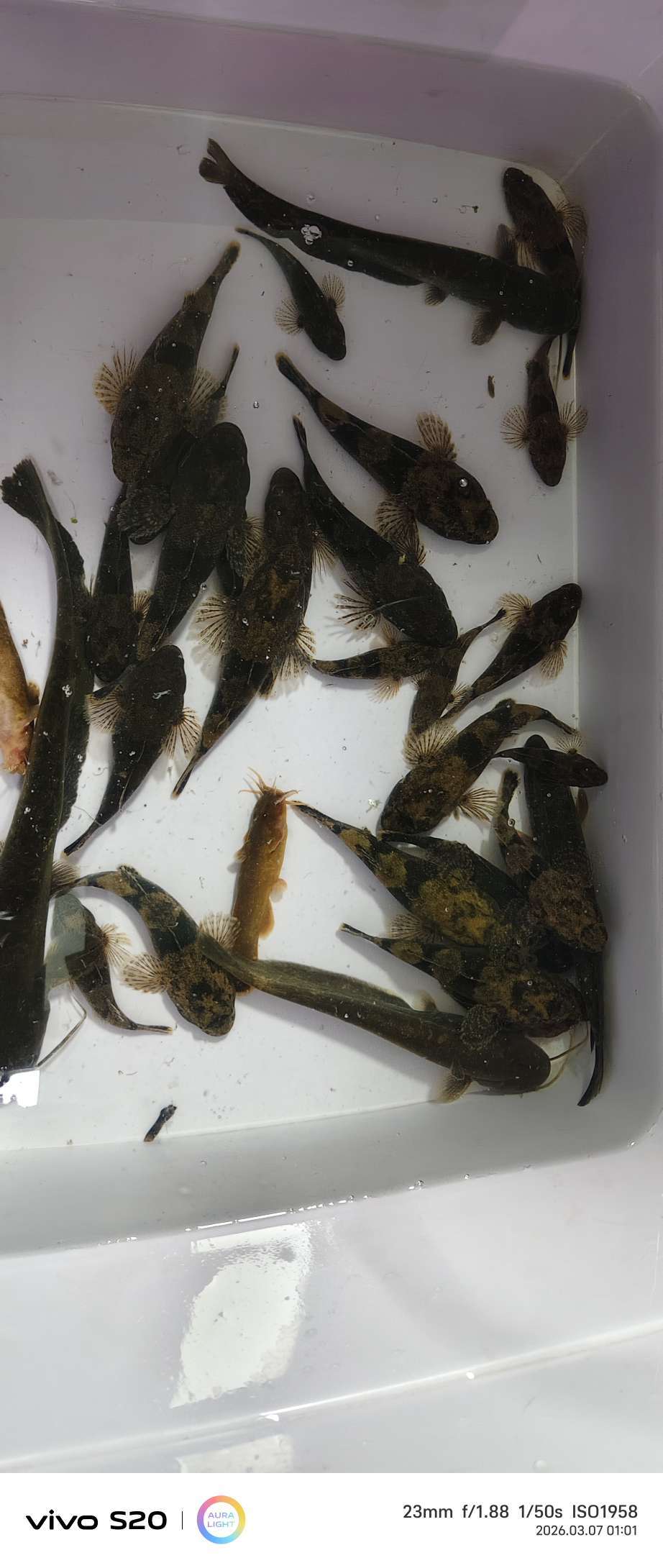 白里夜里，户外不停歇 - 声色荆门 - 荆门社区 - 强势媒体 荆门门户 【官网】