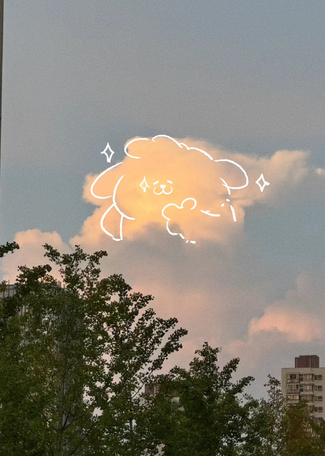 微信图片_20260512202342_12_4.jpg