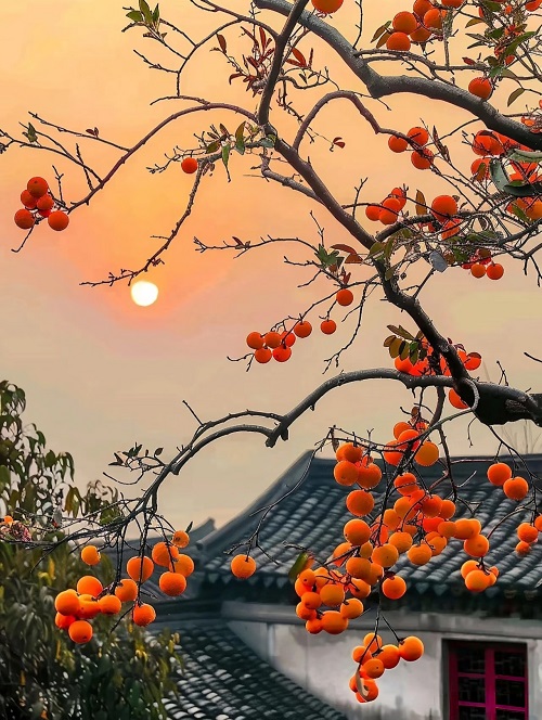 微信图片_20250927144131_7_53.jpg